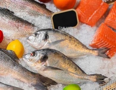 Fresh Fish Export